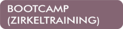 bootcamp